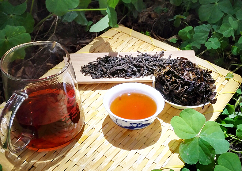 梧州六堡茶文化底蘊深厚，與台灣茶業合作前景佳