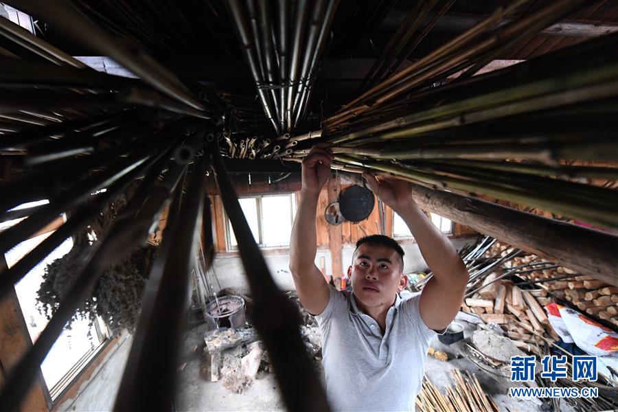 在融水苗族自治縣安太鄉小桑村青山屯，杜信文在挑選熏幹的竹子準備做蘆笙。