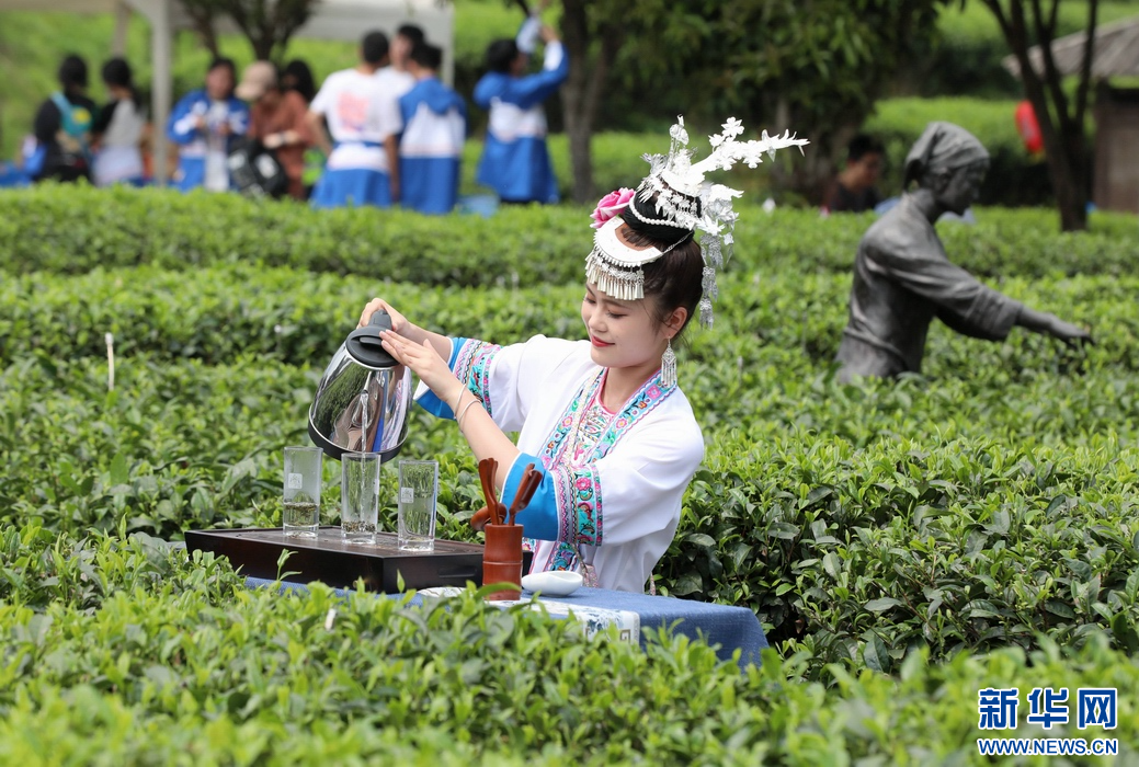 當地群眾在茶園展現茶藝。