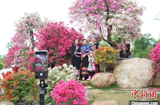 遊客在花叢中自拍。